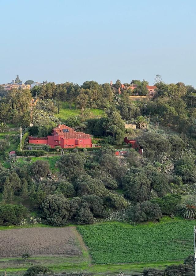 Luxury Country & Rural Villa Santa Brigida Las Palmas Exteriér fotografie
